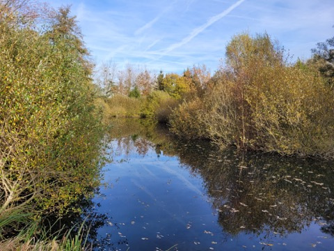 TERRAIN DE LOISIRS.